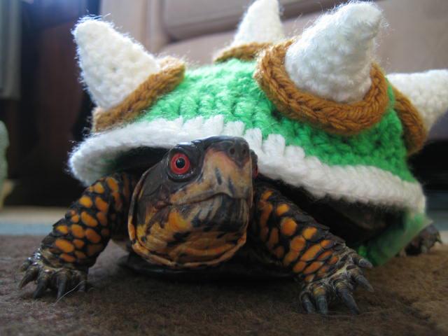 CosplayBowser